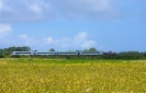 SU4220-007